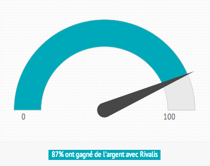 Enquête Rivalis : Le pilotage d&rsquo;entreprise Rivalis améliore les résultats des TPE